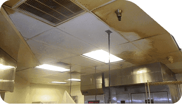 Ceiling & Wall Restoration