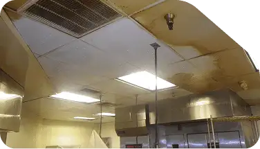 Kitchen Cleaning