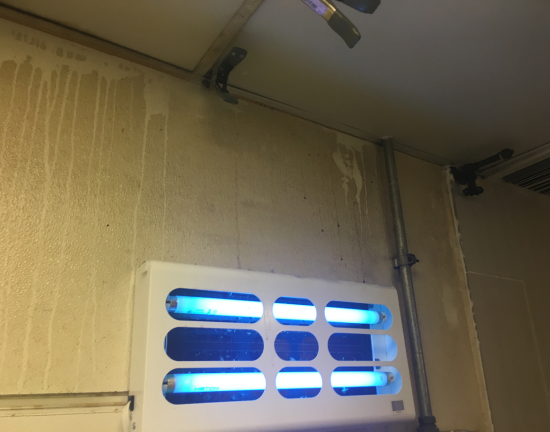 Wall Cleaning